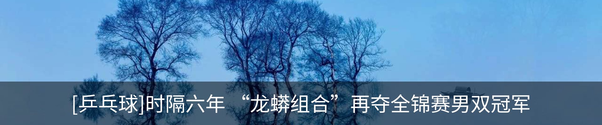 新闻动态